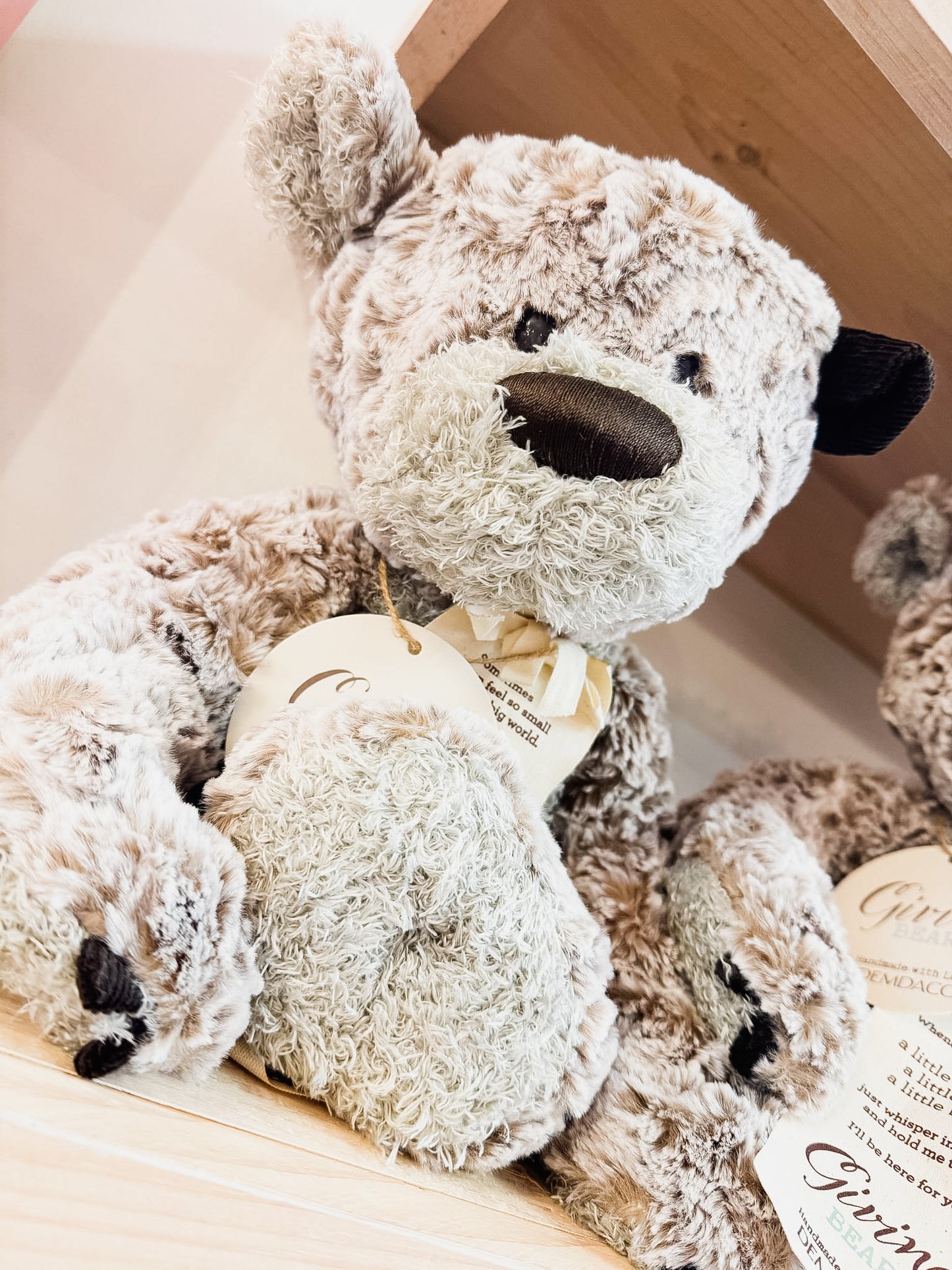 Giving Bear Stuffed Animal