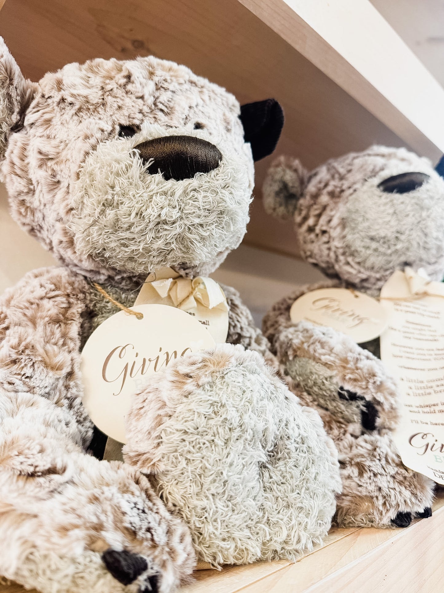 Giving Bear Stuffed Animal