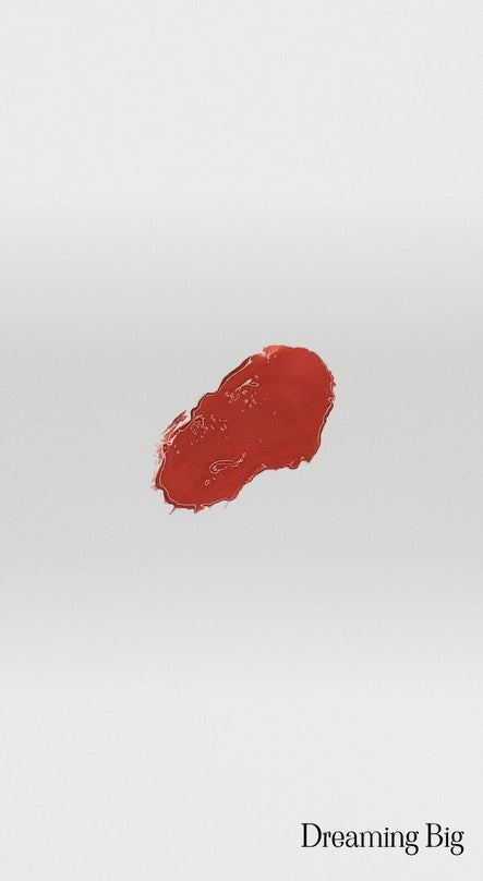 Moisturizing Lip Stick - Dreaming Big