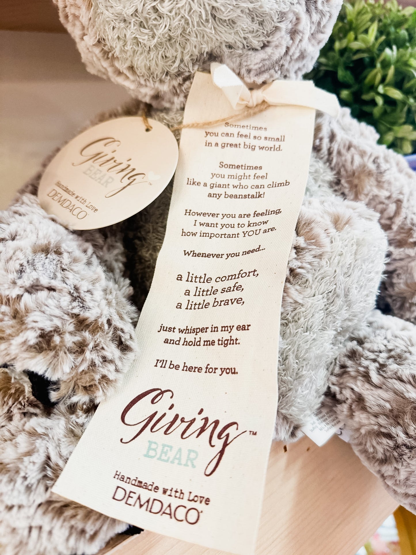 Giving Bear Stuffed Animal