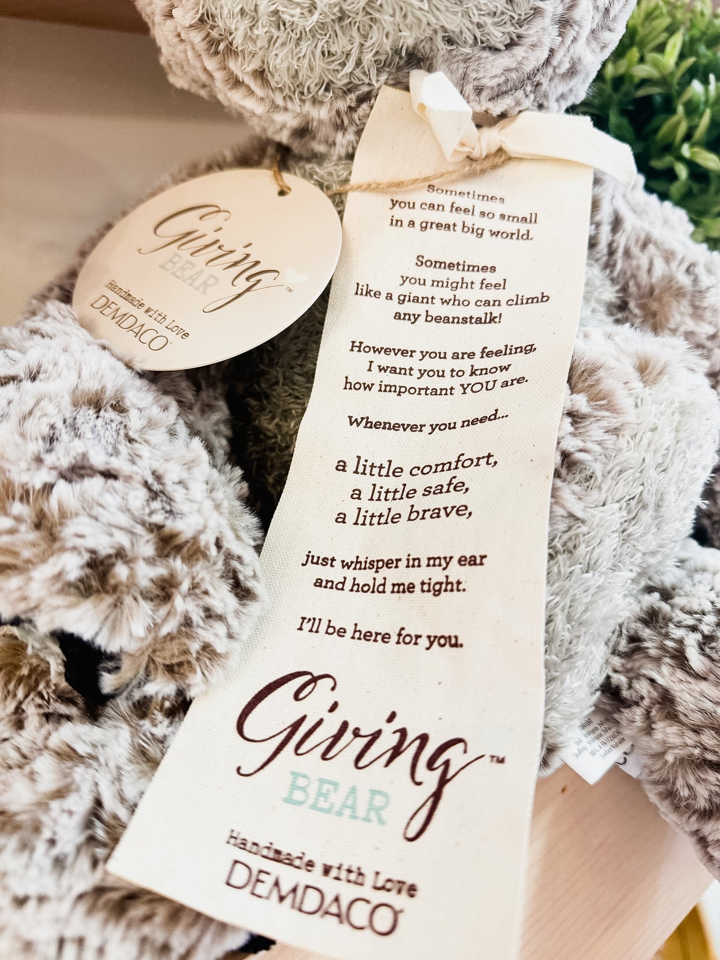Giving Bear Stuffed Animal