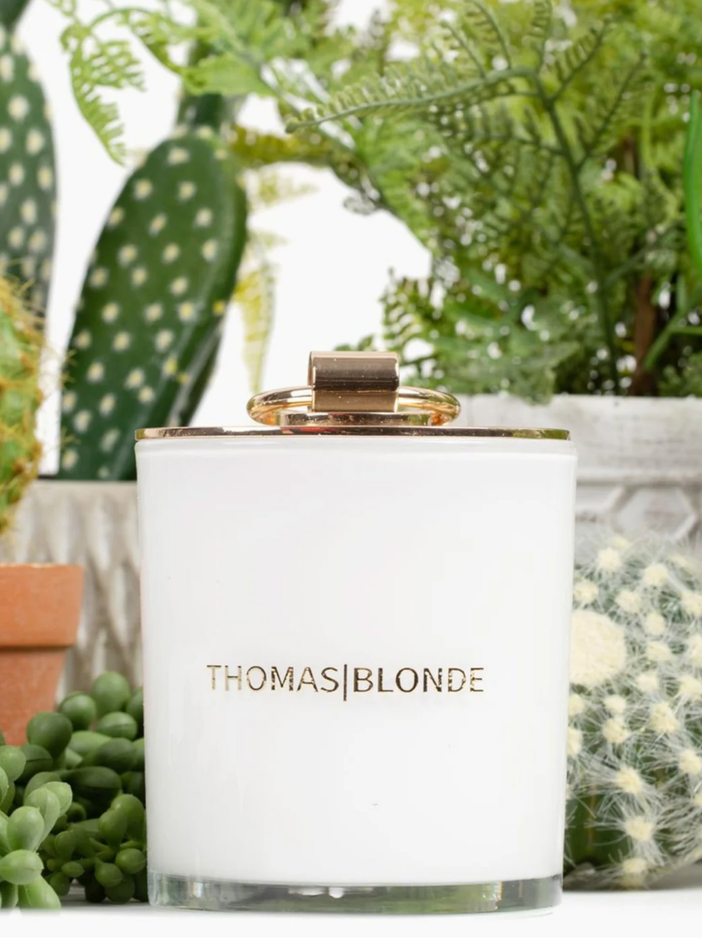 Thomas Blonde The "Topless Blonde" 12oz. Candle - Joshua Tree