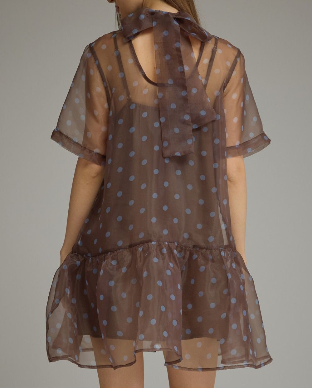Nice Trade Sheer Overlay Mesh Polka Dot Dress - Brown