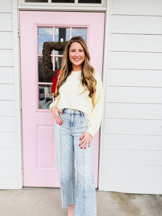 Daze Pleaser High Rise Wide Leg - Cupid