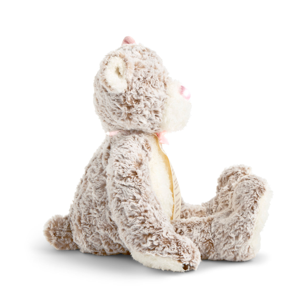 Giving Bear Stuffed Animal - Pink