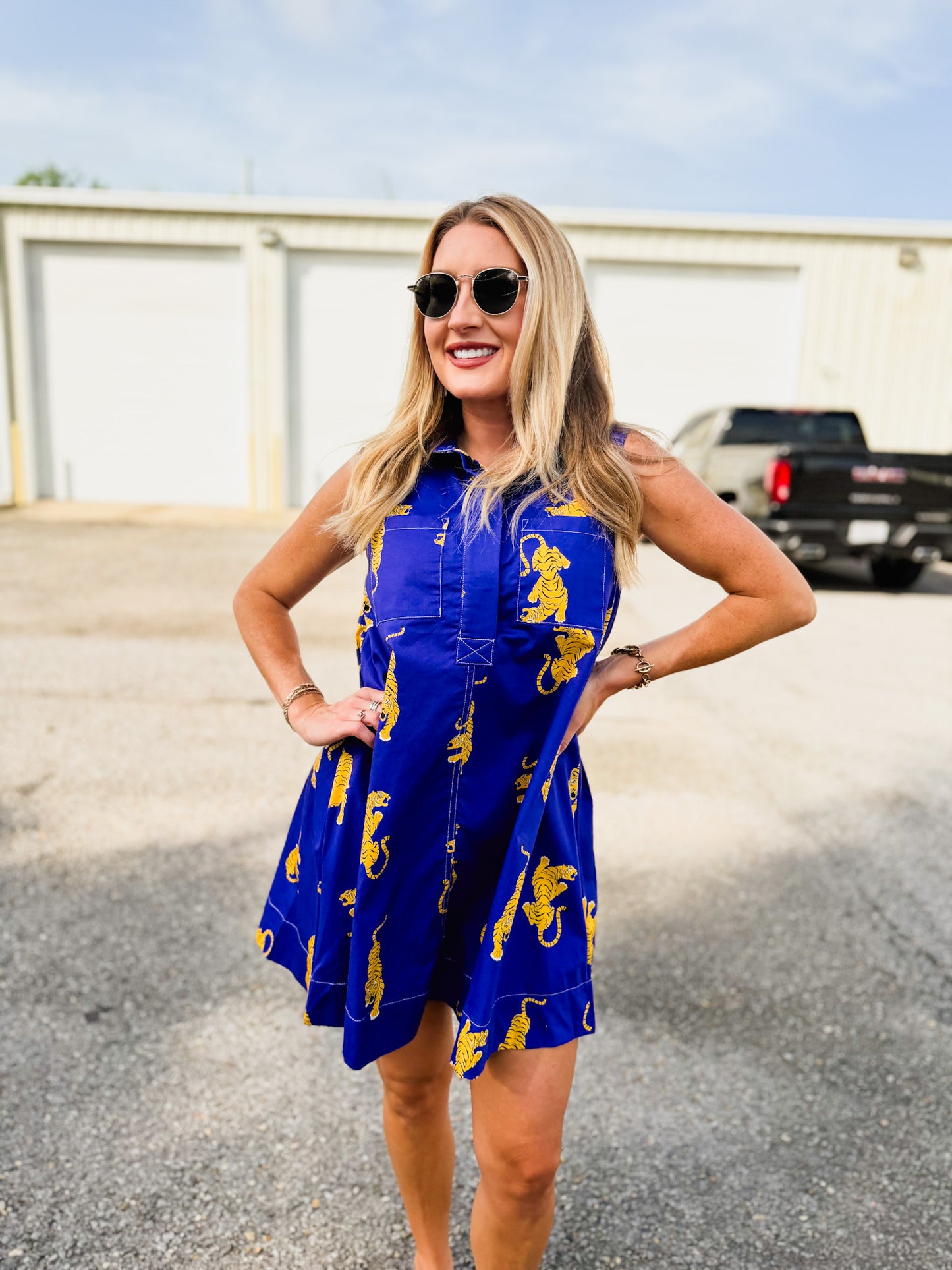 Southern Breeze Crawling Tiger Sleeveless Dress - Purple