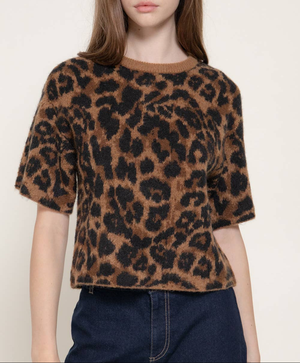 All Day Short Sleeve Round Neck Leopard Jacquard Sweater - Brown