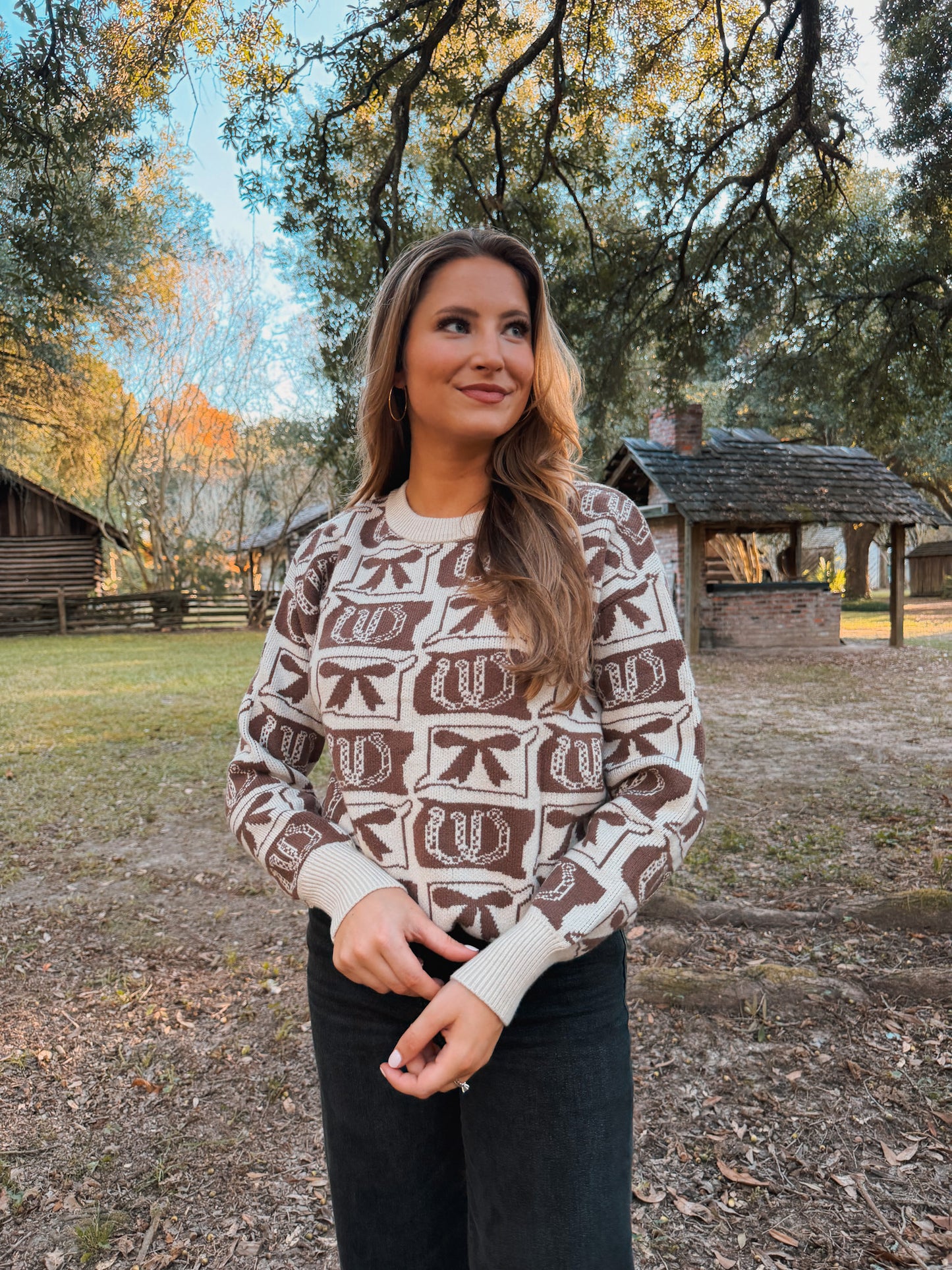 Bows and Horseshoes Checkered Sweater - Brown