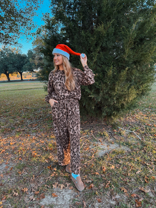 Animal Print Pant and Long Sleeve Top Set - Brown Multi