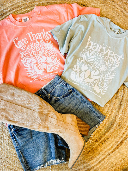 The Harvest Graphic Tee - Bay