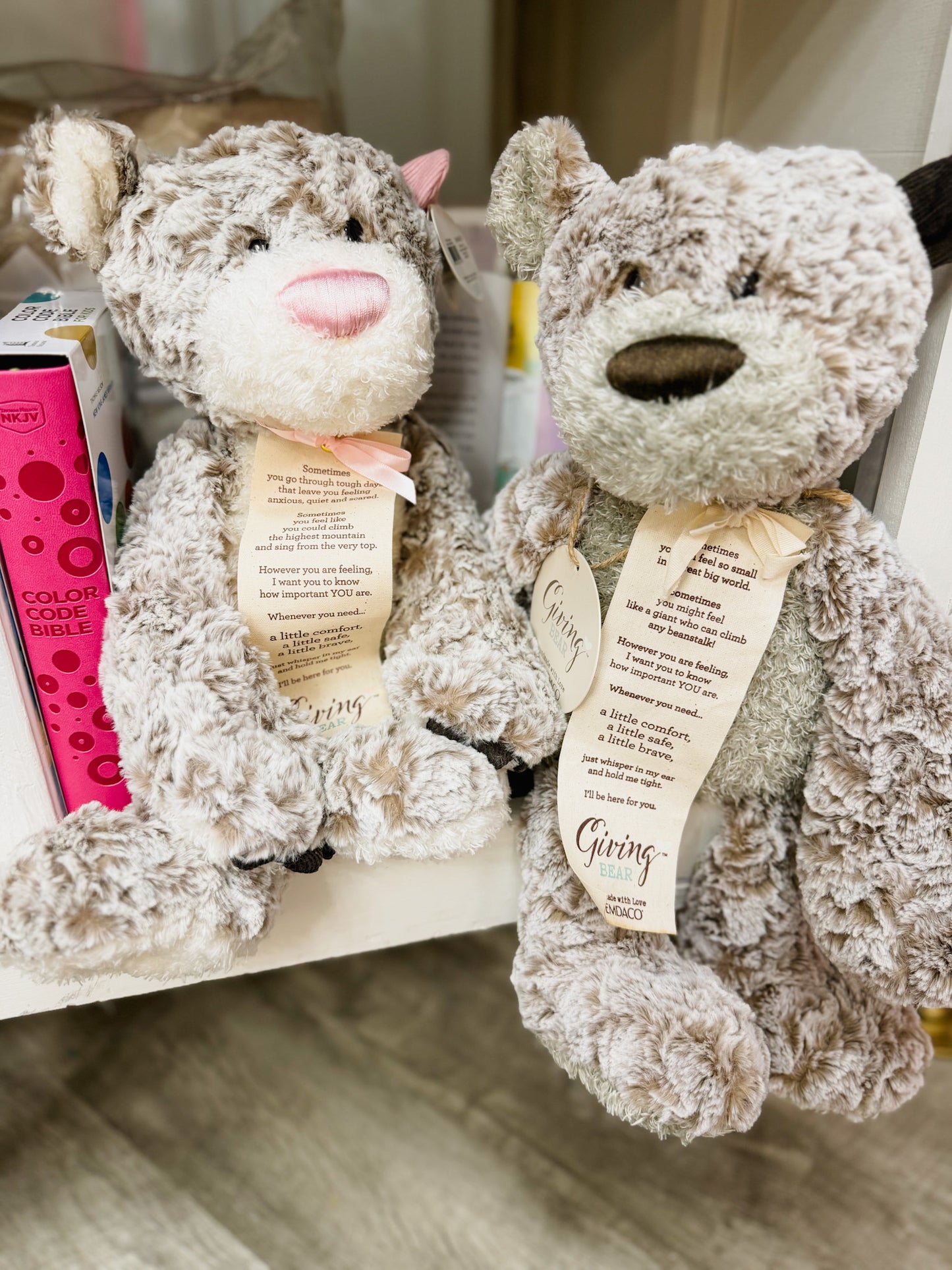 Giving Bear Stuffed Animal - Pink