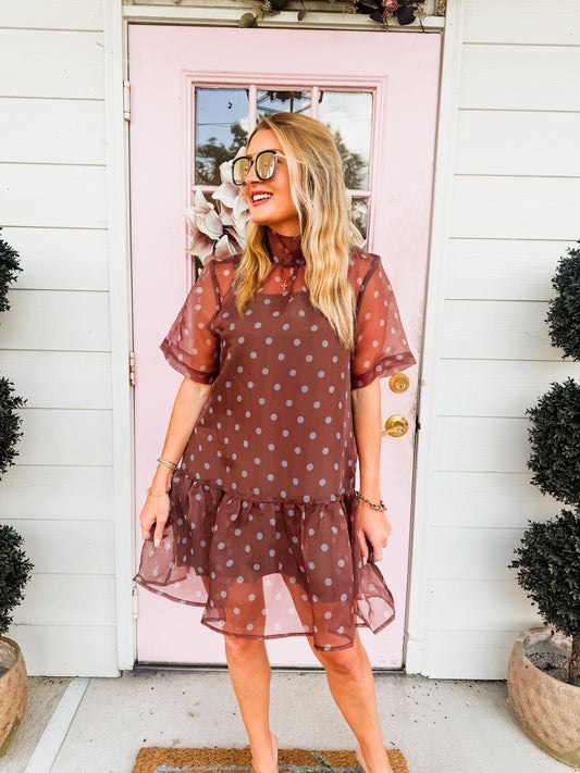 Nice Trade Sheer Overlay Mesh Polka Dot Dress - Brown