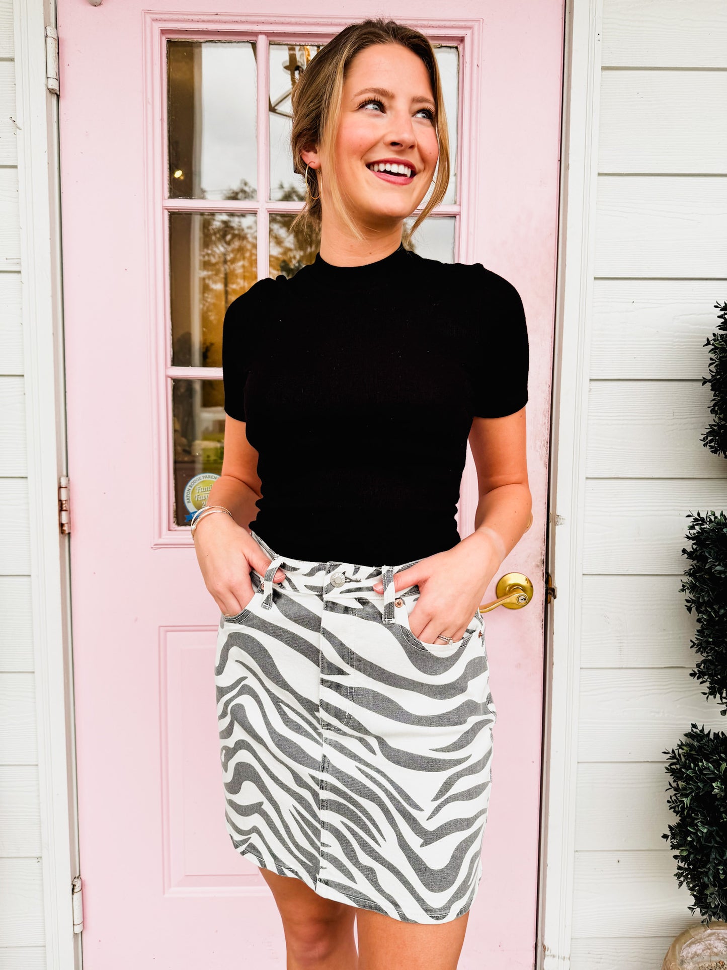 Daze Stash Mini Skirt - Zebra