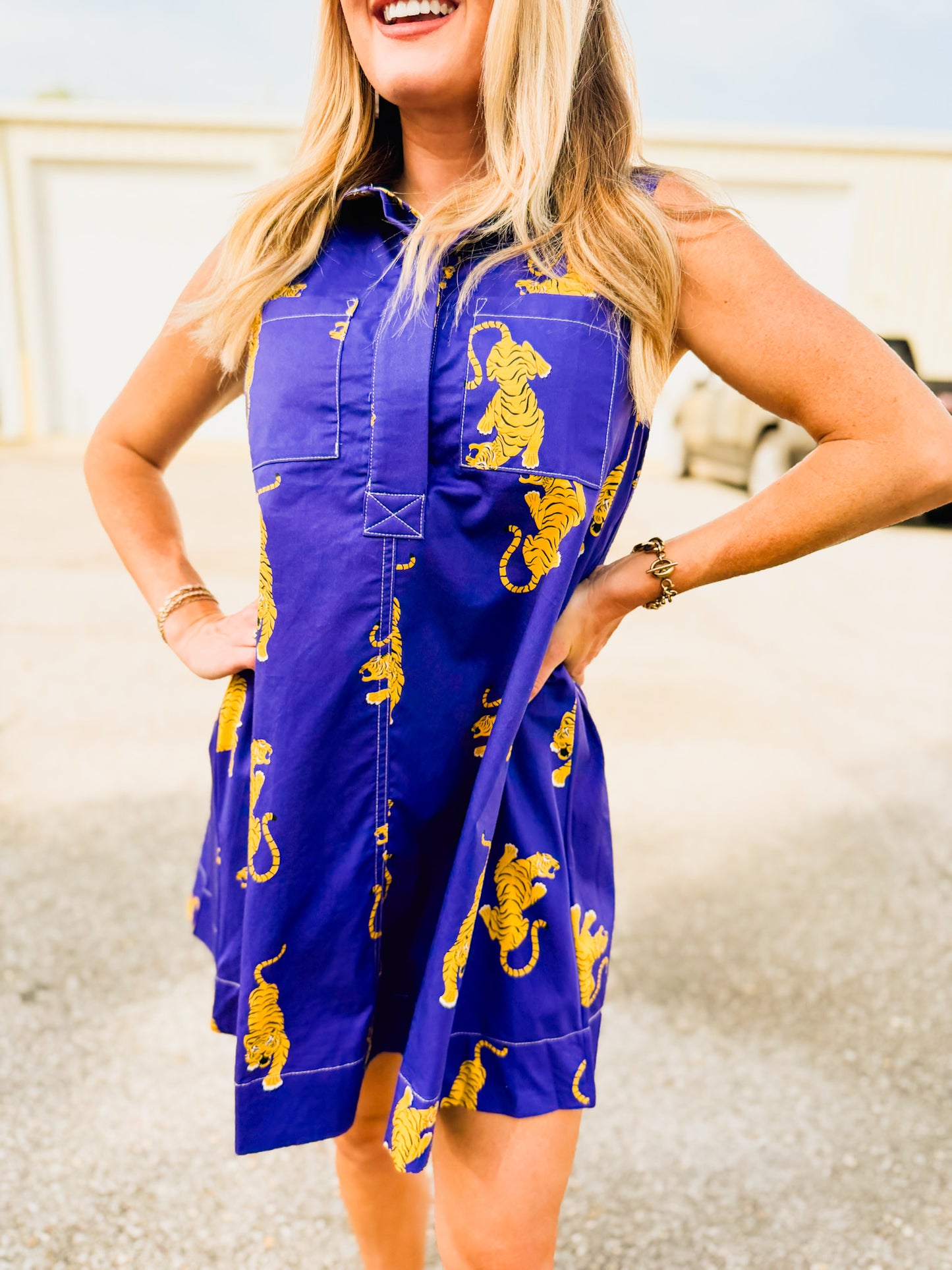 Southern Breeze Crawling Tiger Sleeveless Dress - Purple