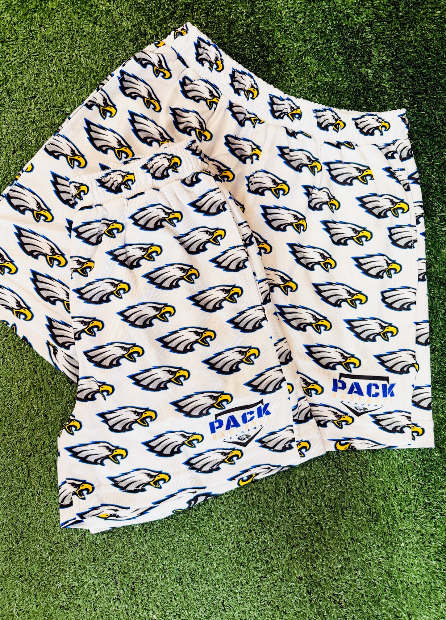 Pack Youth Shorts - Eagle