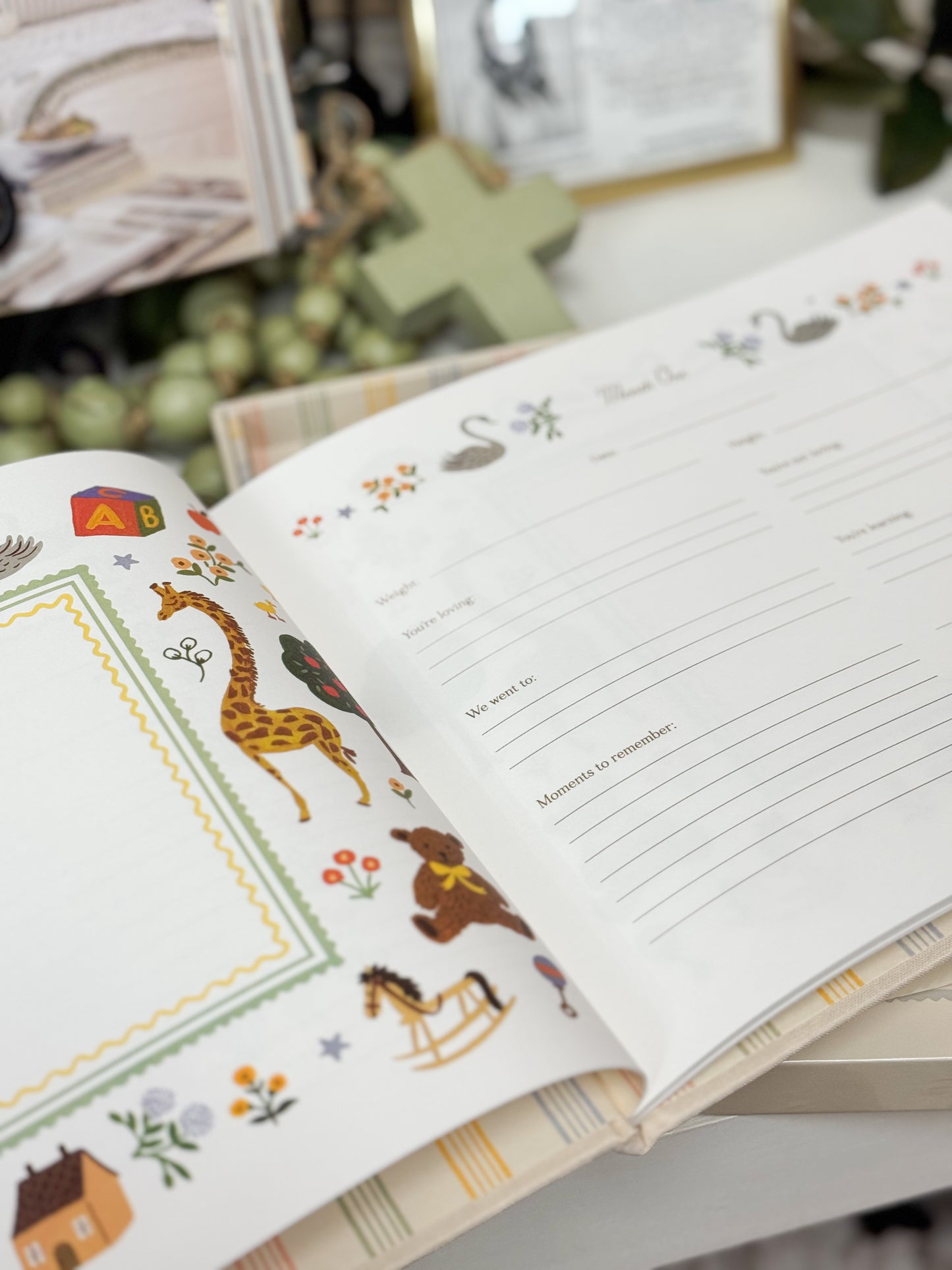 Rifle Paper Co. Baby Embroidered Memory Book
