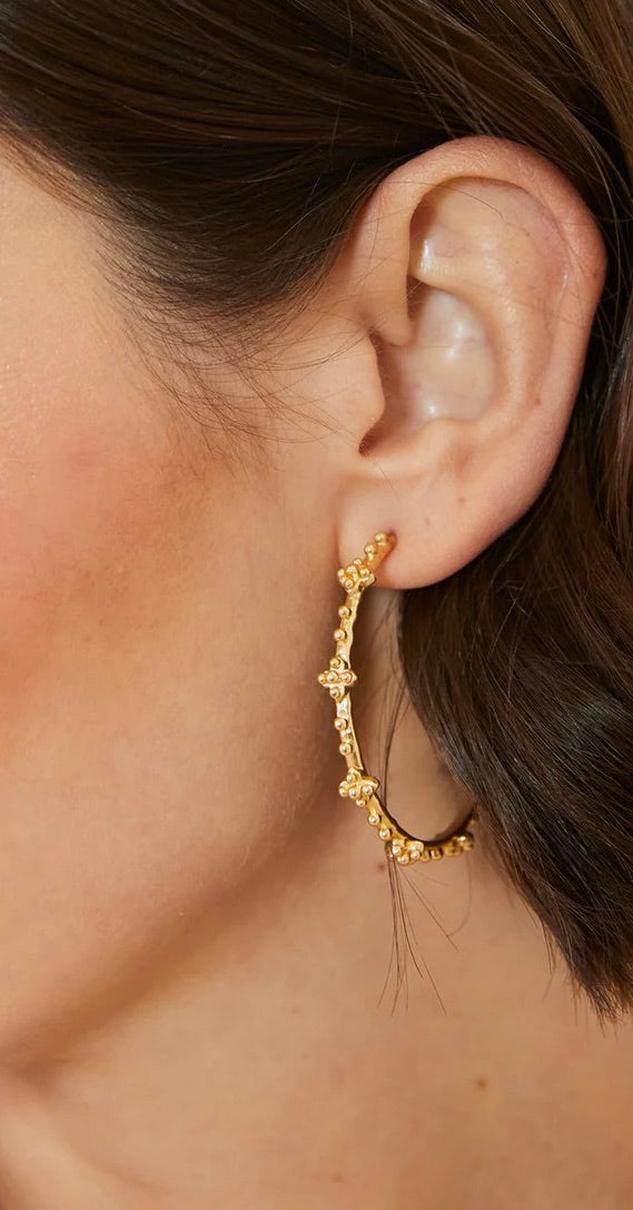 Richmond Hill Hoop Earrings 40mm by Spartina 449