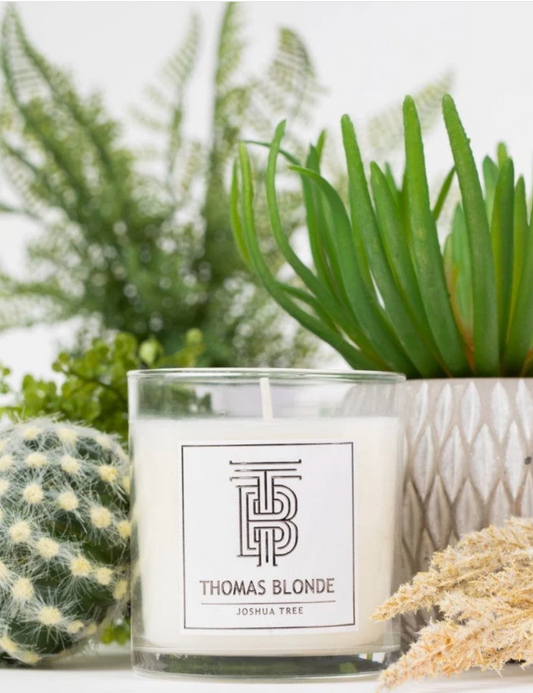 Thomas Blonde 12oz. Candle - Joshua Tree