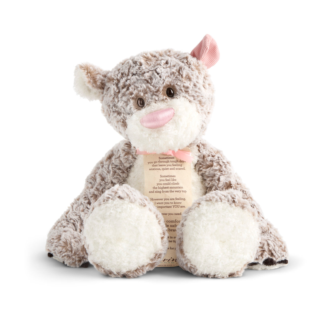 Giving Bear Stuffed Animal - Pink