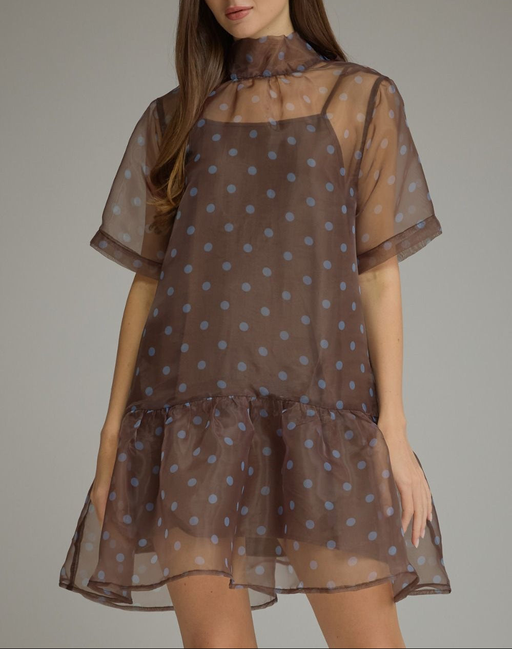 Nice Trade Sheer Overlay Mesh Polka Dot Dress - Brown